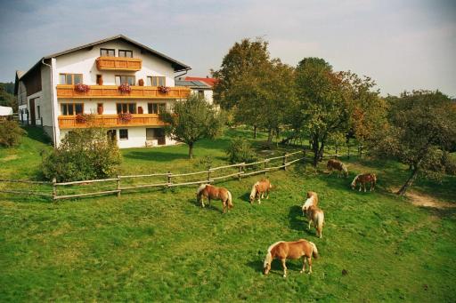 Biobauernhof Wolf-Hof - Housity
