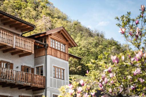 Huber unterm Baum - Housity