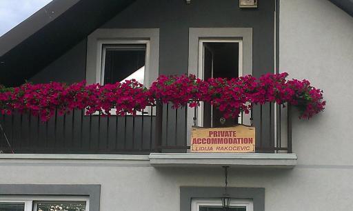 Private accommodation Lidija Rakočević - Housity