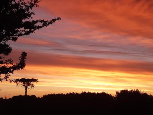 Logement 80 m2 avec terrasses entre les deux abers - Housity