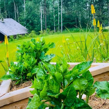 ?liczny domek z saun? - Housity