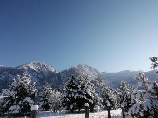 Usad ba chikmariovykh chemal kol tsevaia 65a - Housity