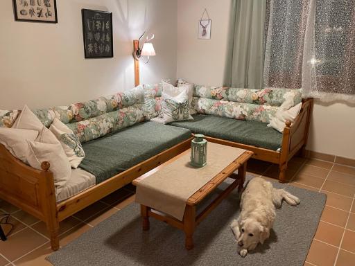Hundefreundliche Bergwohnung neben der Skipiste - Mittelstation Skigebiet Gerlitzen - Housity