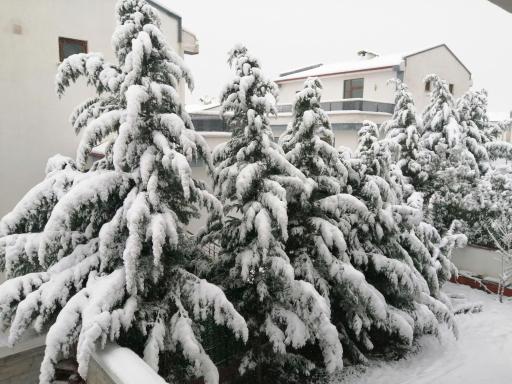 oasis villa Akköy Villa - Housity