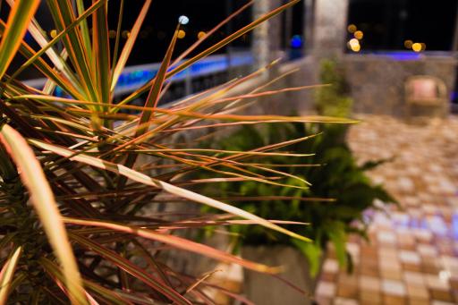 Pousada Aurora - Housity