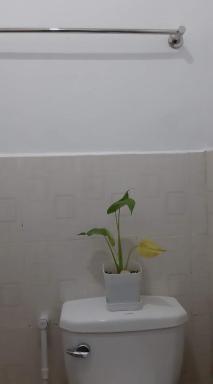 Casa Erelle -1 Bedroom guest house #2 - Housity