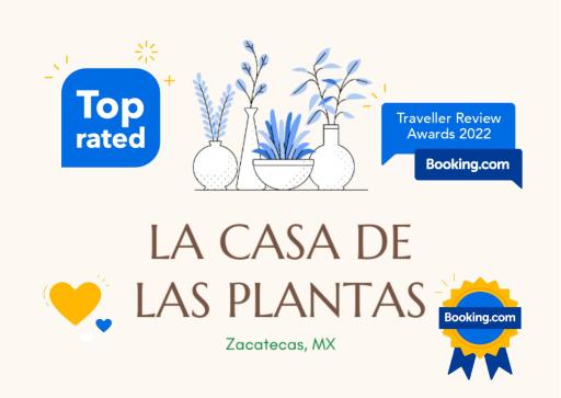 Complete Cozy House in Zacatecas City for 4 persons THE HOUSE OF PLANTS - Housity