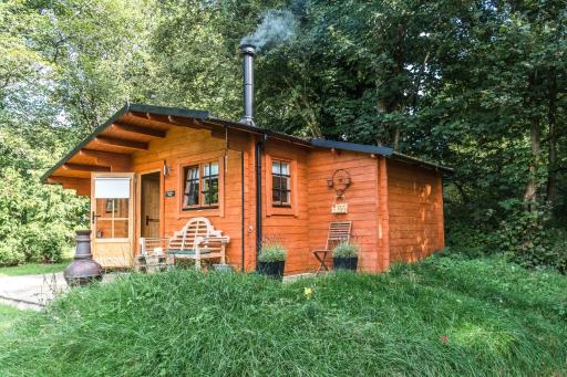 Punch Tree Brown Cabin Wood Hot Tub & Wood Burner - Housity