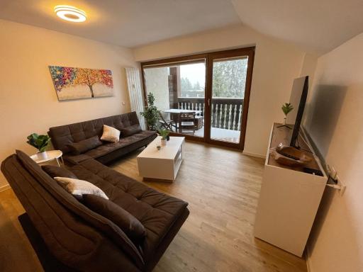 FeWo Jule Winterberg - Housity