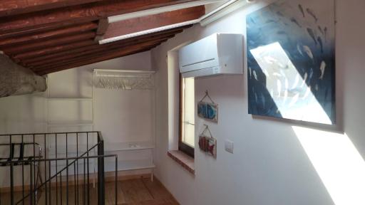I Pesci nel golfo di Baratti - Housity