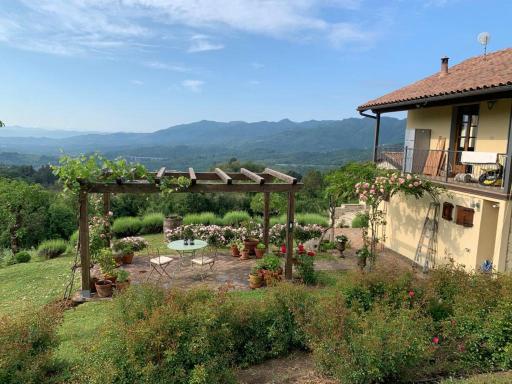 Magic view - Housity