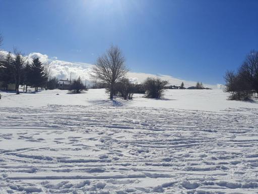 Appartamento L'Araba Fenice - Housity