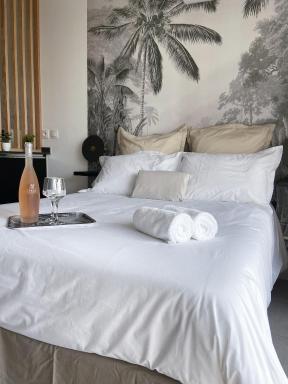 Un Palmier dans la chambre, studio de standing - Housity