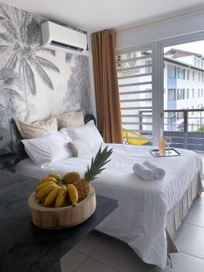 Un Palmier dans la chambre, studio de standing - Housity