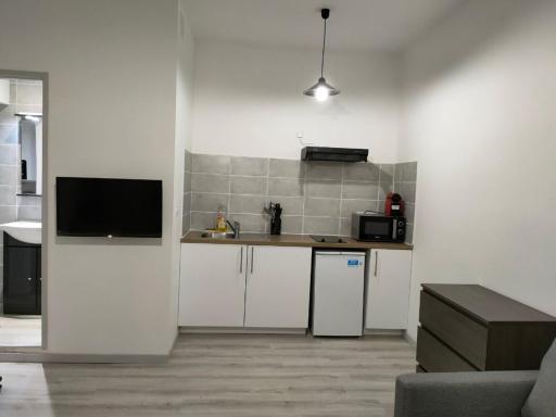 Saint Etienne Studio Lot 8 - Housity