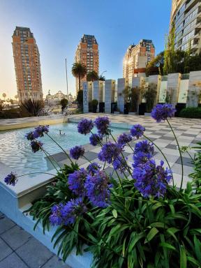 Apartamento Deluxe Edificio Torremar, frente al Mall Marina Arauco - Housity