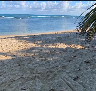 Mar azul puerto plata - Housity