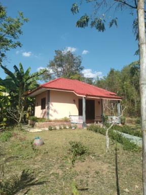 Schoener bungalow - Housity