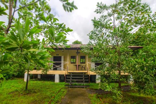 JenJon Wood County Phansad Alibaug - Housity