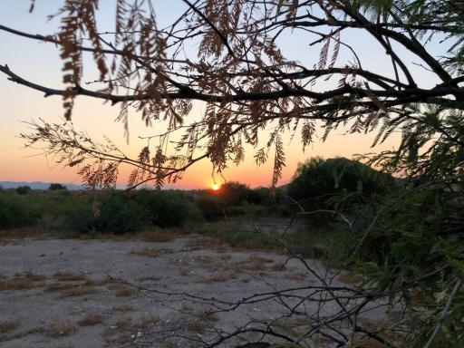 La casita de Caborca a 100 mts. del Gimnasio Mpal. - Housity