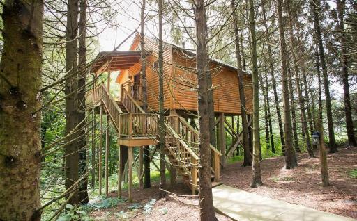Whispering Pines Treehouse by Amish Country Lodging - Housity