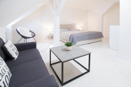 U Zlaté hvězdy apartmán Jungmann - Housity