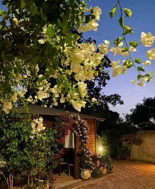 B&B Il Girasole - Housity