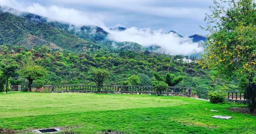 Olive Greens Homestay - Housity