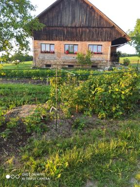 Apartmán U Milušky - Housity