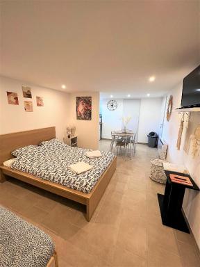 Studio Le Plum'Art, 10mn Zoo de Beauval avec jardin - Housity