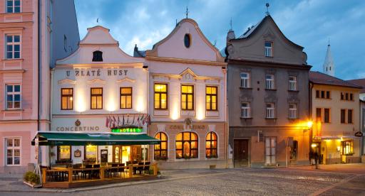 Hotel Concertino Zlatá Husa - Housity