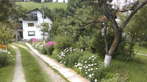 Pensiunea Iulia - Housity