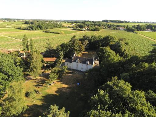 Du Vignoble à l'Atlantique - Château Cassemichère gîte - Housity