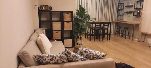 The house of love - Housity