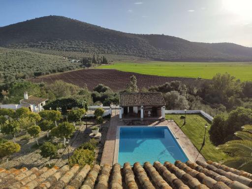 FINCA LAS ROSAS DE SANTA ANA - Housity