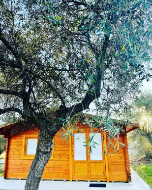 El Bosque de Ribera - Housity