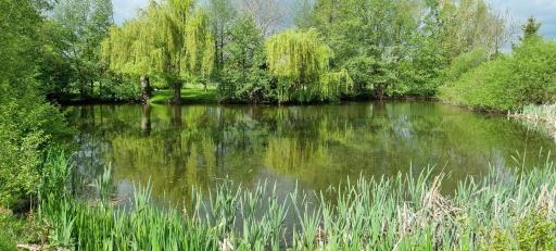 Ferienwohnung am See - Housity