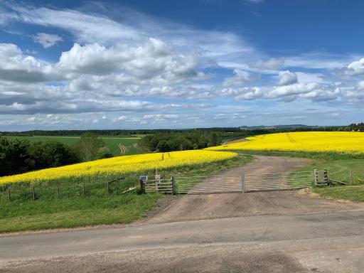 Woodhead Granary - Housity