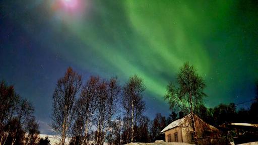 Cabin magic on Senja, atmosphere like a fairytale - Housity