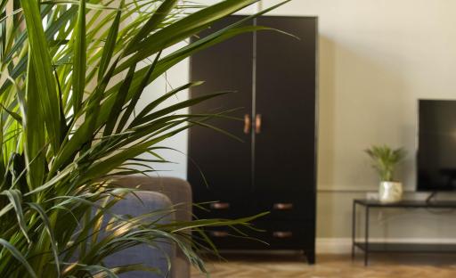 Allegro apartments city center - Housity