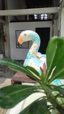 Trava House 3 Bedroom with Pool - Housity