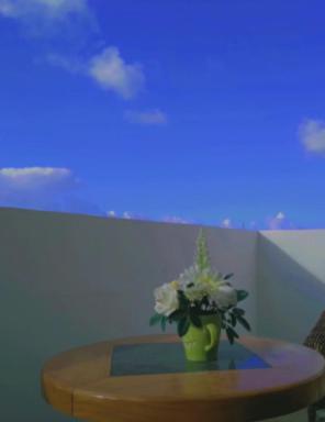 johnny's studio - Housity