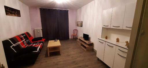 T2 Cosy Saint Étienne Centre Secteur Cours Fauriel - Housity