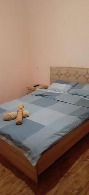 шорена - Housity
