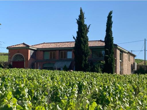 Gîte de la vieille vigne - Housity