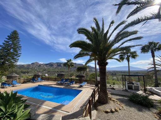 LAS PALMERAS - Housity