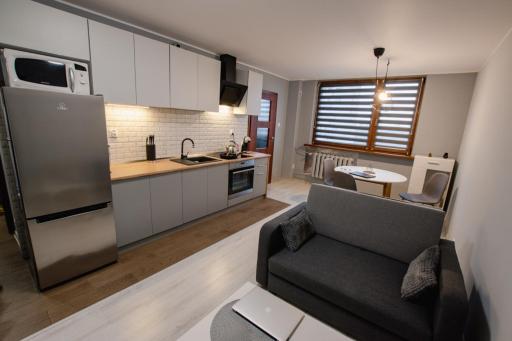 Apartament Stone - Czelad? - Housity