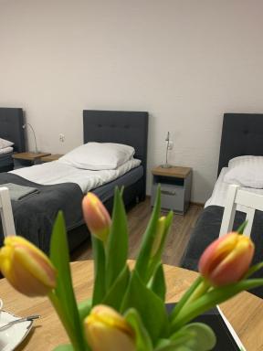 Hostel Adabet - Housity