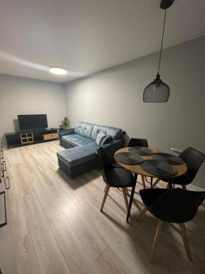 Livinga 1 kambario butas centre - Housity