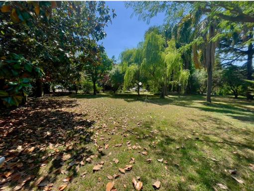 Camelie Apartment by Agriturismo Al Gallo Verde - Housity